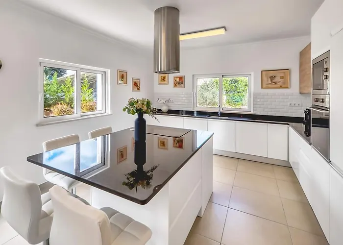 838 Larissa פורטימאו